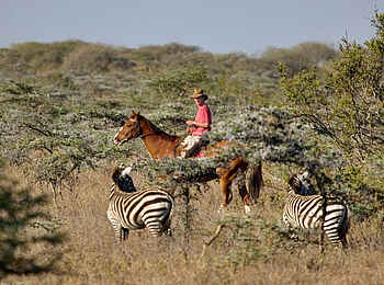 Ol Malo: Zebras und Pferd