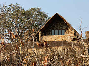 Big Cave Camp: Chalets mit privater Veranda