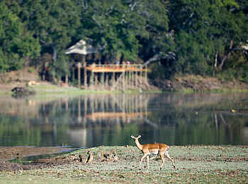 Chindeni Bushcamp: Lage des Camps am Rande der Lagune Chindeni Bushcamp: Lage des Camps am Rande der Lagune