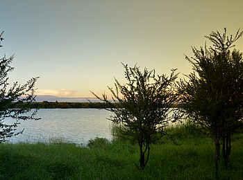 Chobe Bakwena Lodge: Die Aussicht auf den Chobe