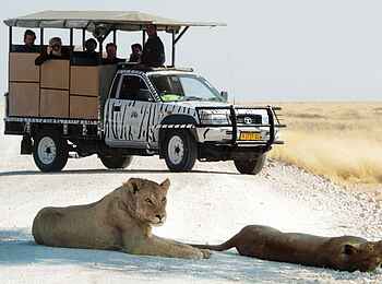 Etosha Safari Camp: Ausflug in den Nationalpark