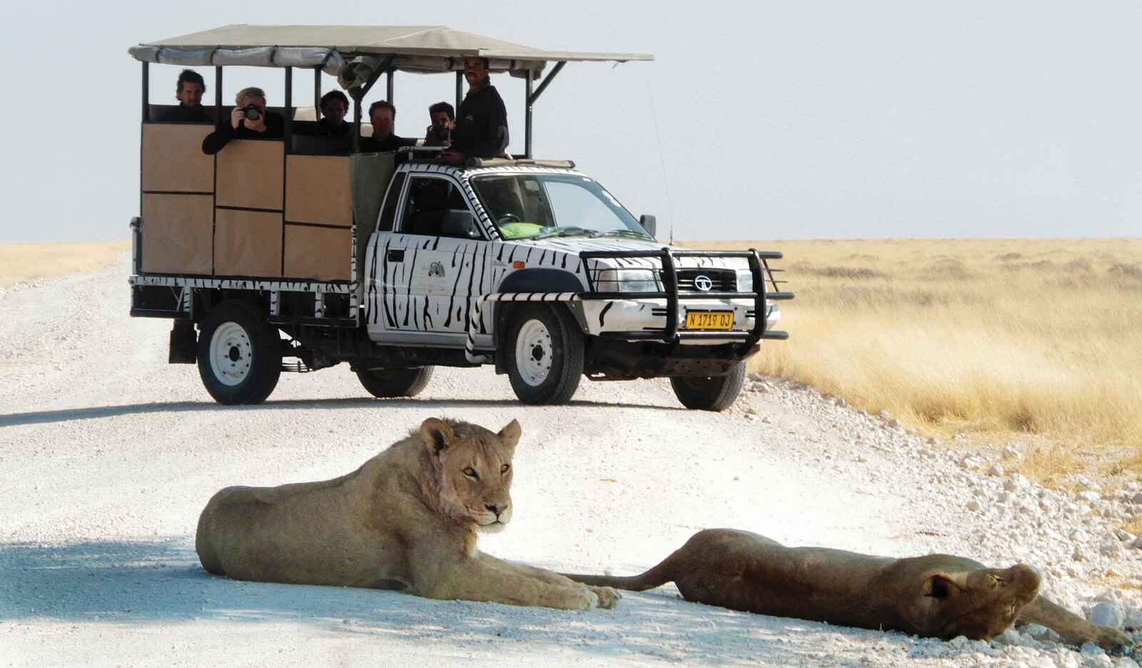 Etosha Safari Camp: Ausflug in den Nationalpark Etosha Safari Camp: Ausflug in den Nationalpark