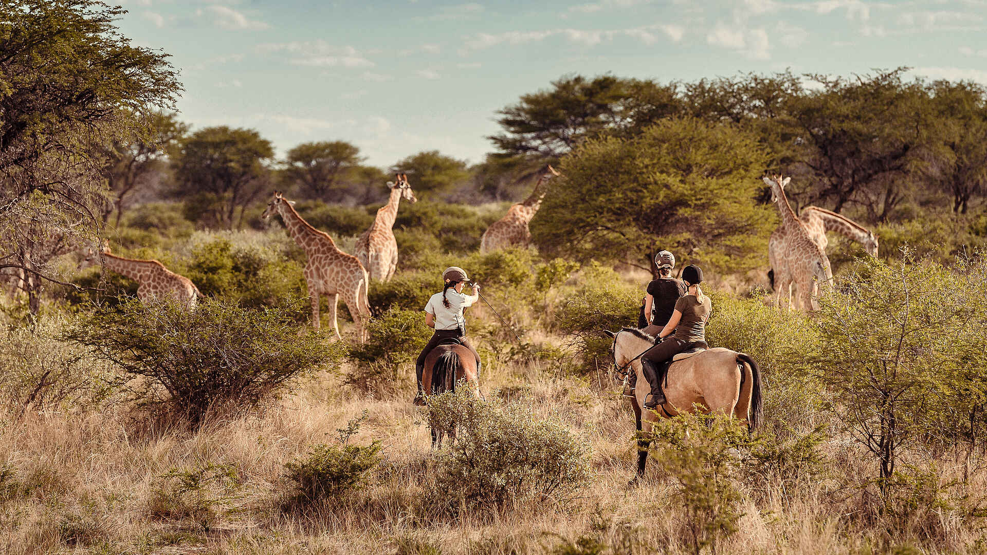 Kambaku Safari Lodge: Giraffen auf Reitsafari beobachten