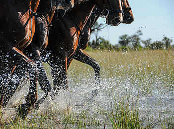 Macatoo Camp: Galopp durchs Wasser