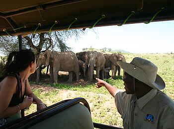 Mdonya Old River Camp: Elefantenfamilie