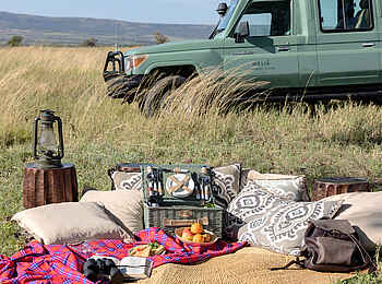 Melia Serengeti Lodge: Busch Picknick Melia Serengeti Lodge: Busch Picknick