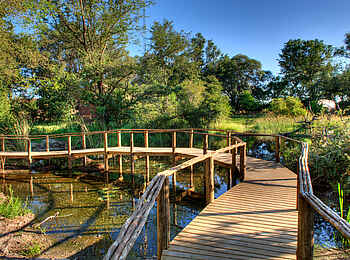 Okuti Camp: Laufsteg im Camp