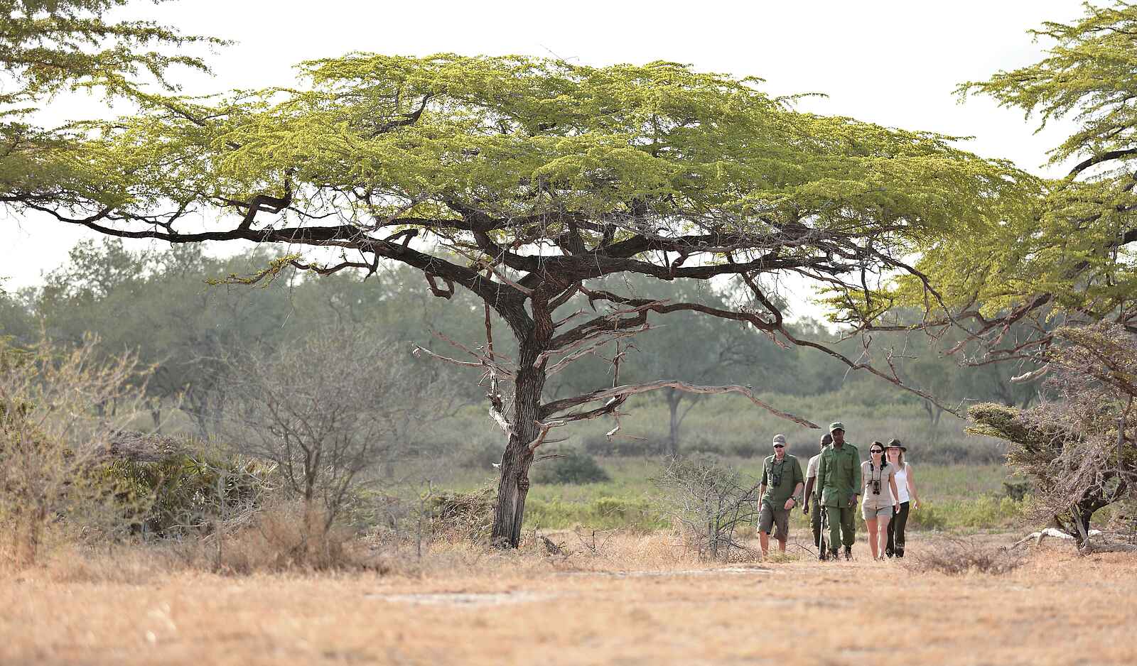 Roho ya Selous Camp: Geführte Walking Safari Roho ya Selous Camp: Geführte Walking Safari