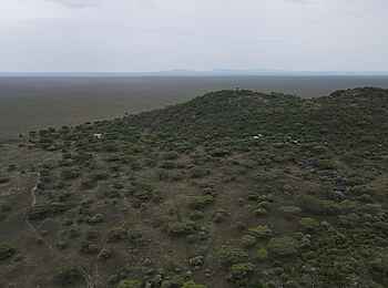 Serengeti Woodlands Camp: Lage am Naabi Hill