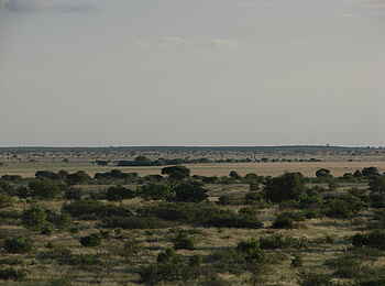 Tau Pan Camp: Tau-Pfanne vom Camp