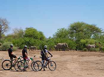 Mashatu Game Reserve: Stop für Elefanten