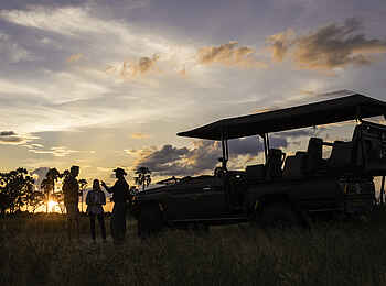 Mombo Camp: Game Drive in der Abenddämmerung Mombo Camp: Game Drive in der Abenddämmerung