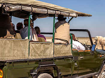 Taleni Etosha Village: Elefanten beim Game Drive Taleni Etosha Village: Elefanten beim Game Drive