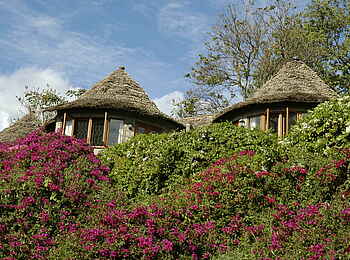 Arusha Serena Hotel: Cottages im Grünen Arusha Serena Hotel: Cottages im Grünen