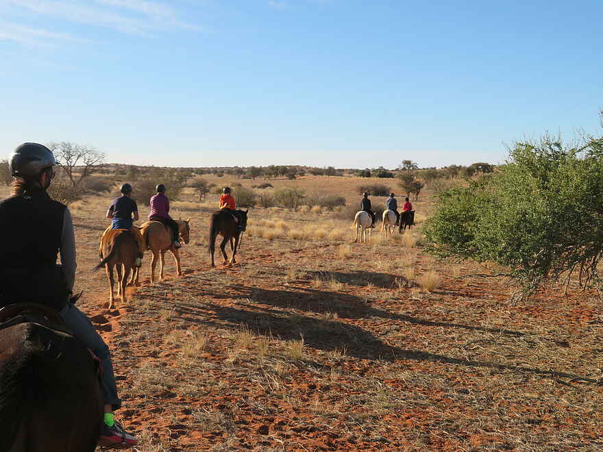Bagatelle Kalahari Game Ranch: Reitsafari in der Kalahari Bagatelle Kalahari Game Ranch: Reitsafari in der Kalahari