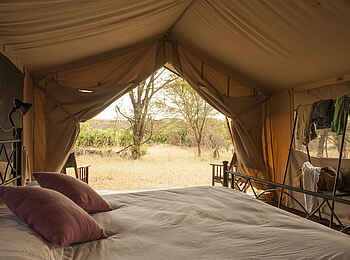 Bologonya Under Canvas: Blick aus dem Zelt heraus