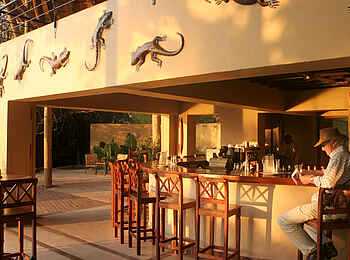 Chobe Safari Lodge: Bar Chobe Safari Lodge: Bar