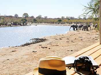 Ghoha Hills Savuti Lodge: Im Hide am Wasserloch