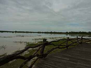 Kafunta River Lodge: Hochwasser