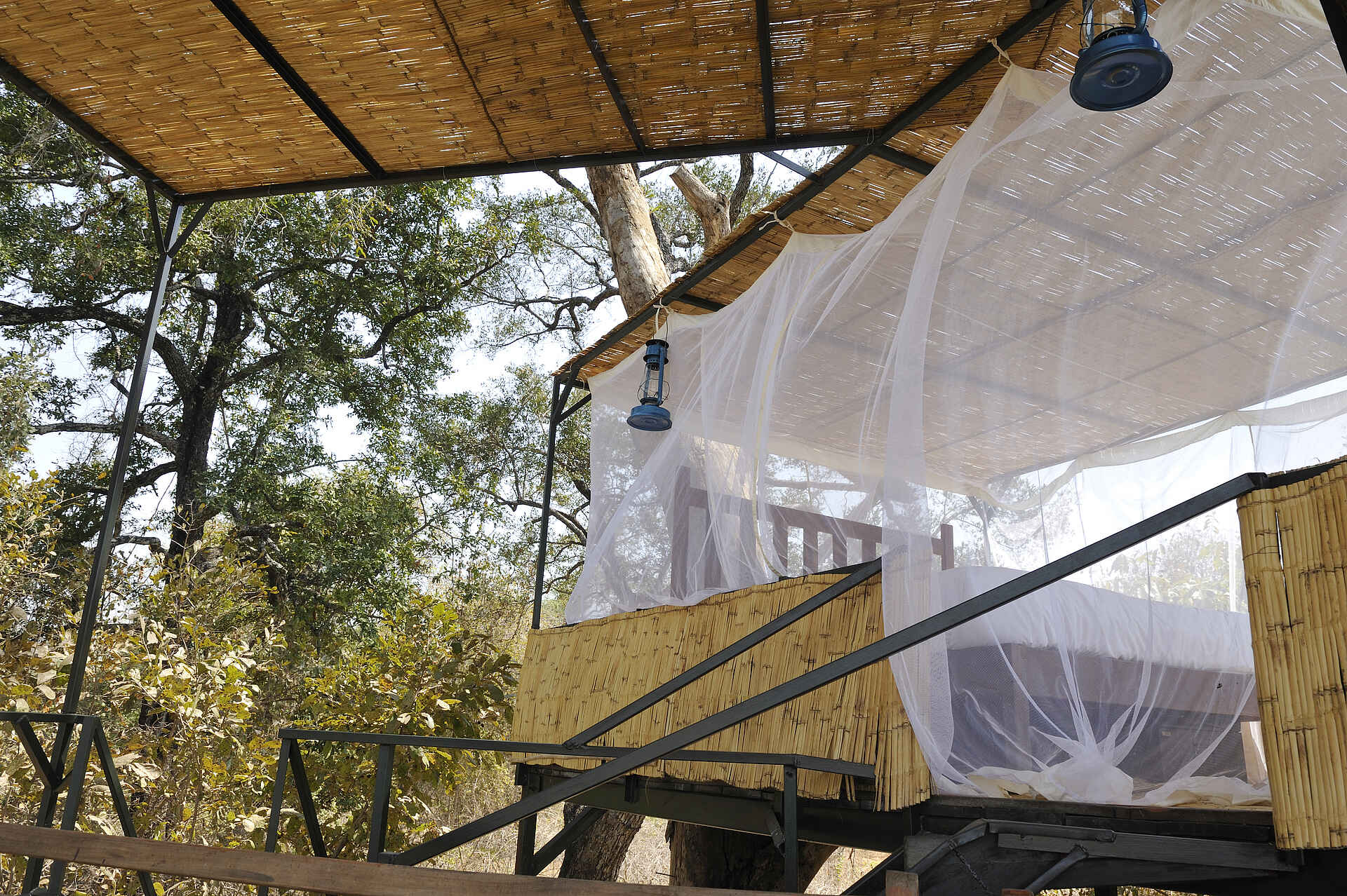 Kaingo Elephant Hide: Sleepout Kaingo Elephant Hide: Sleepout