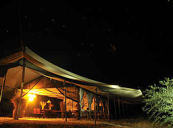Kwihala Camp: Zelt unterm Sternenhimmel