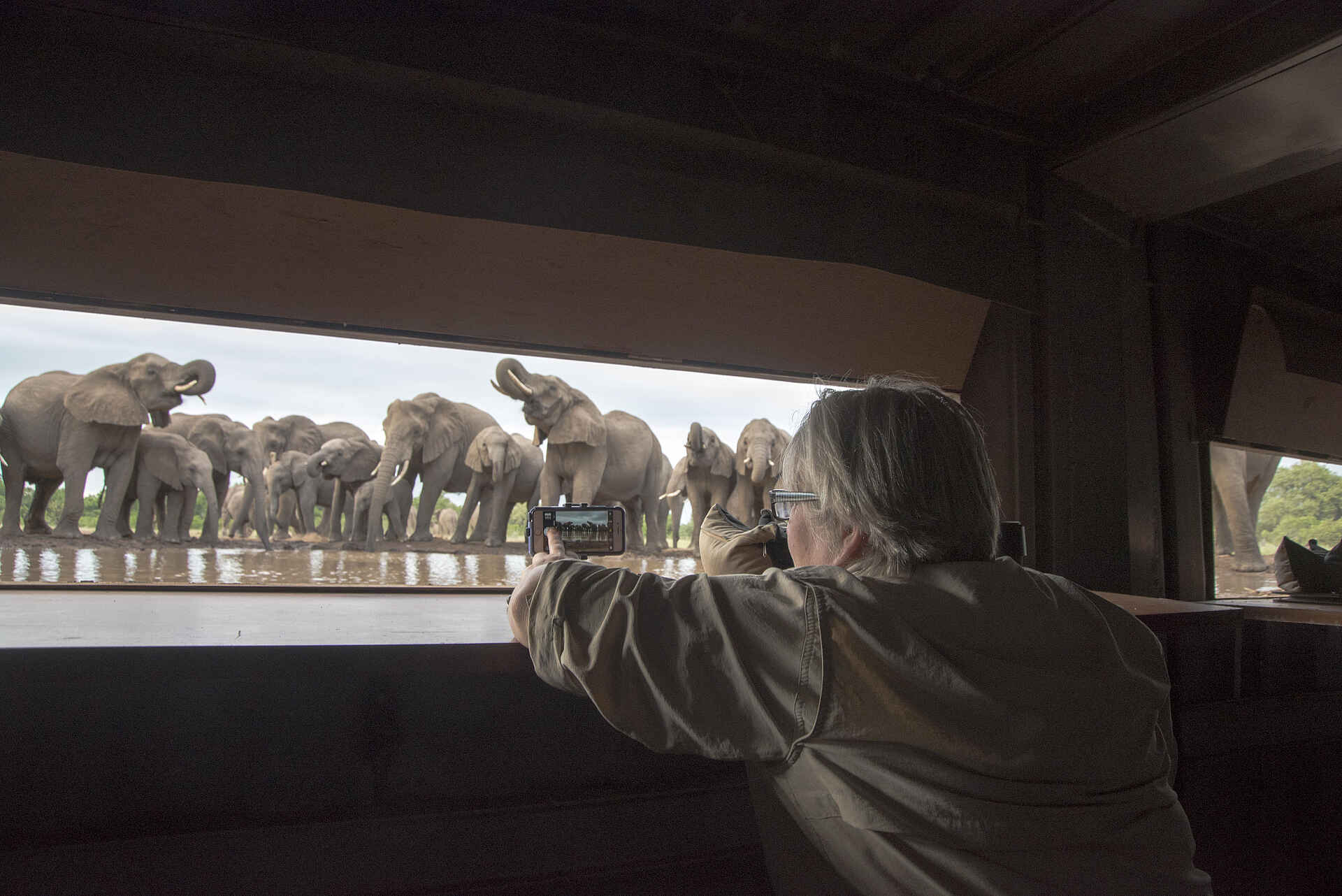 Mashatu Euphorbia Villas: Blick aus dem Hide