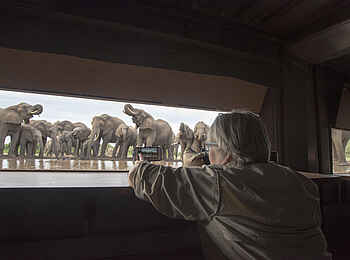 Mashatu Euphorbia Villas: Blick aus dem Hide