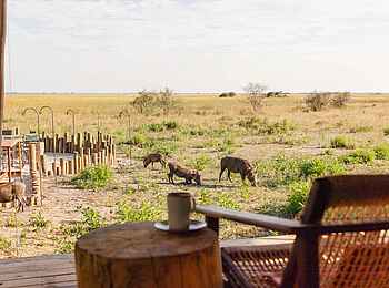Nkasa Linyanti Camp: Ausblick von der Terrasse