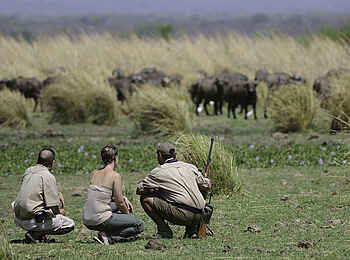 Ruckomechi Camp: Geführte Buschwanderung Ruckomechi Camp: Geführte Buschwanderung