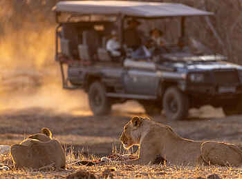 Savuti Camp: Game Drive