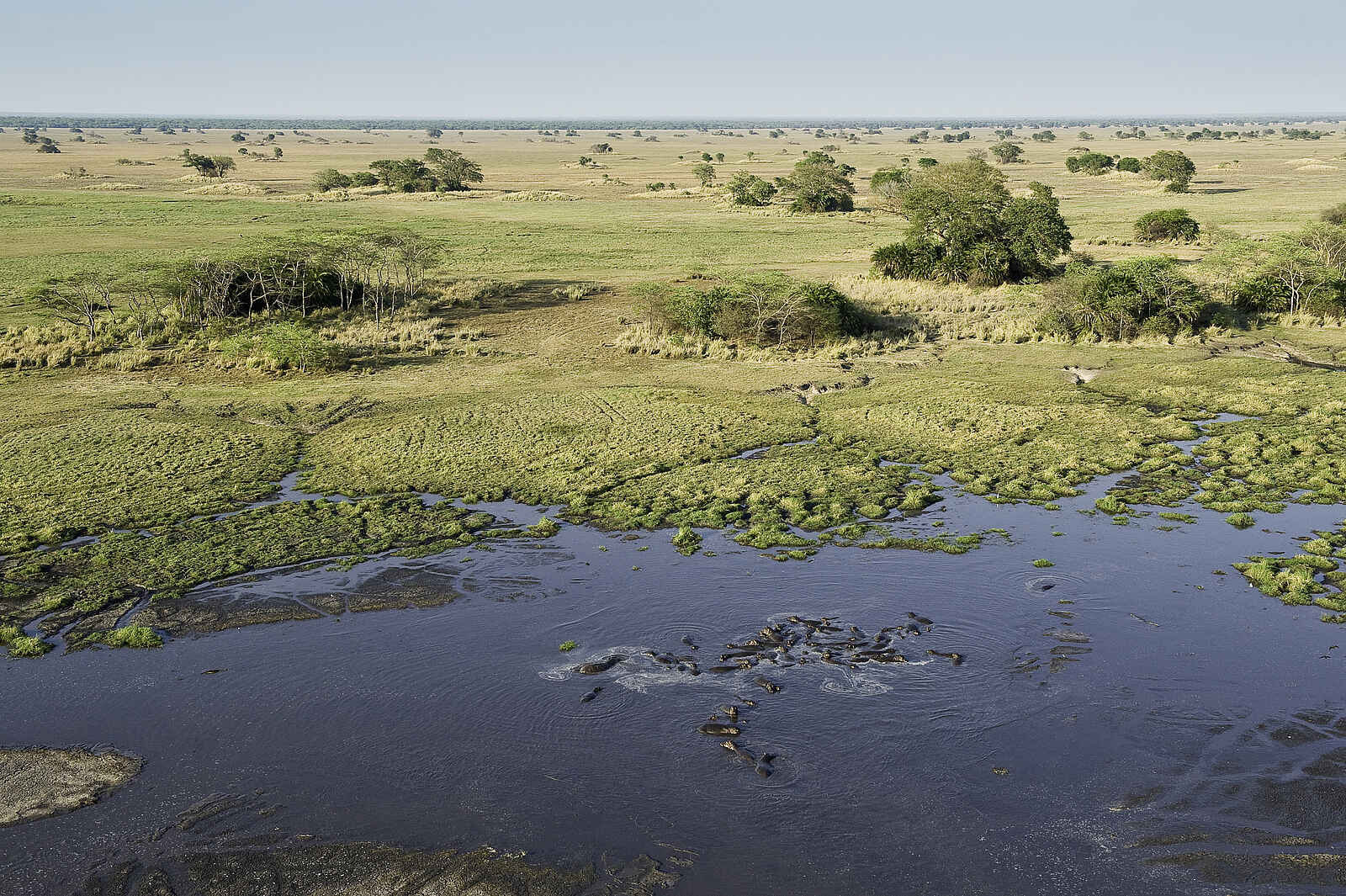 Shumba Camp: Aussicht vom Ballon Shumba Camp: Aussicht vom Ballon