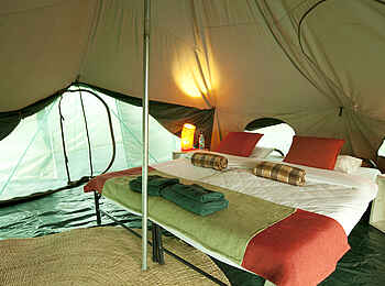 Wayo Nabi Green Camp: Doppelbett Wayo Nabi Green Camp: Doppelbett