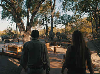 Chief's Camp: Elefanten durchstreifen das Camp