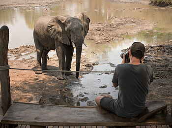 Kanga Expeditions: Elefant vor dem Camp