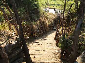 Kavinga Safari Camp: Zugang zum Beobachtungsunterstand Kavinga Safari Camp: Zugang zum Beobachtungsunterstand