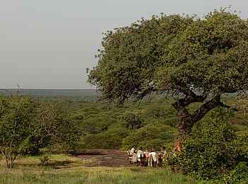 Kusini Serengeti Camp: Dining draussen