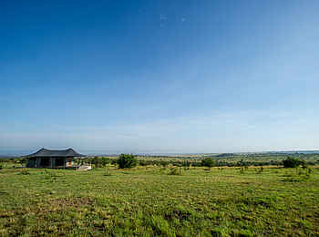 Mara Mara Tented Lodge: Gästezelt auf Holzplattform Mara Mara Tented Lodge: Gästezelt auf Holzplattform
