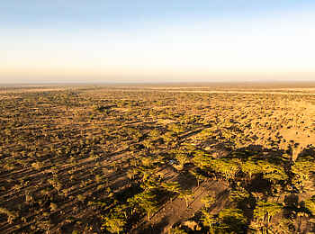 Charlie Serengeti Safari Camp: Weite der Serengeti