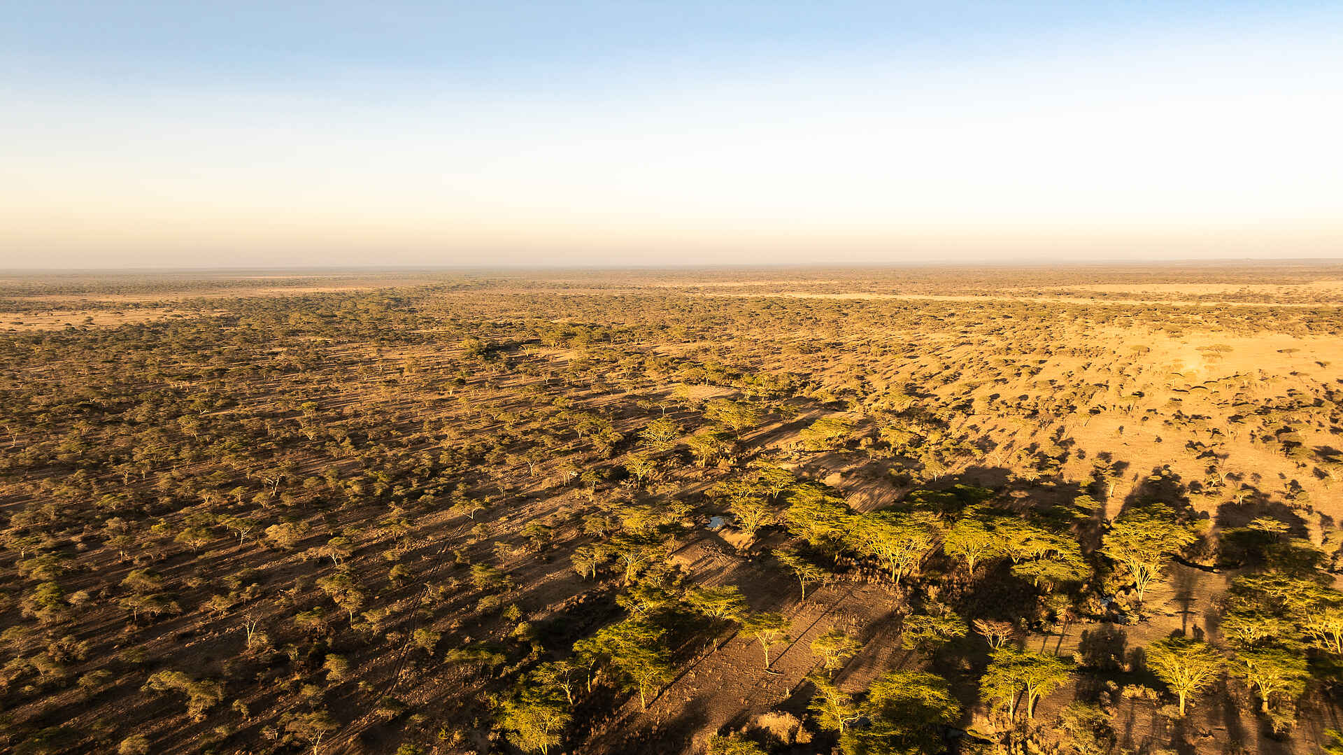 Charlie Serengeti Safari Camp: Weite der Serengeti