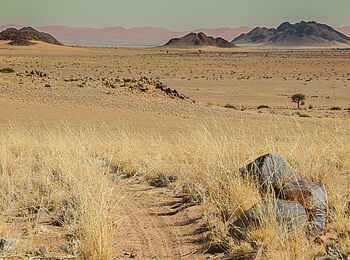 Desert Homestead Outpost: Joggingpfad