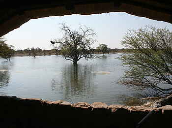 Edo's Camp: Beobachtungsposten am Wasserloch Edo's Camp: Beobachtungsposten am Wasserloch