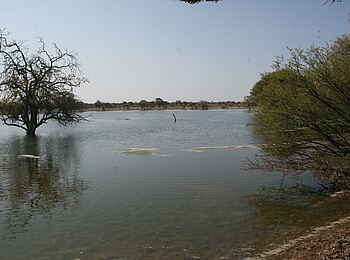 Edo's Camp: Wasserloch im Camp Edo's Camp: Wasserloch im Camp
