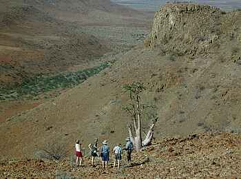 Etendeka Mountain Camp: Allein mit der Natur Etendeka Mountain Camp: Allein mit der Natur