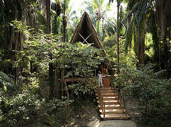 Greystoke Mahale Lodge: Banda im Dschungel Greystoke Mahale Lodge: Banda im Dschungel