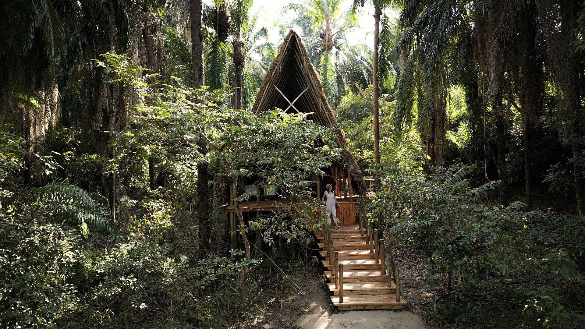 Greystoke Mahale Lodge: Banda im Dschungel