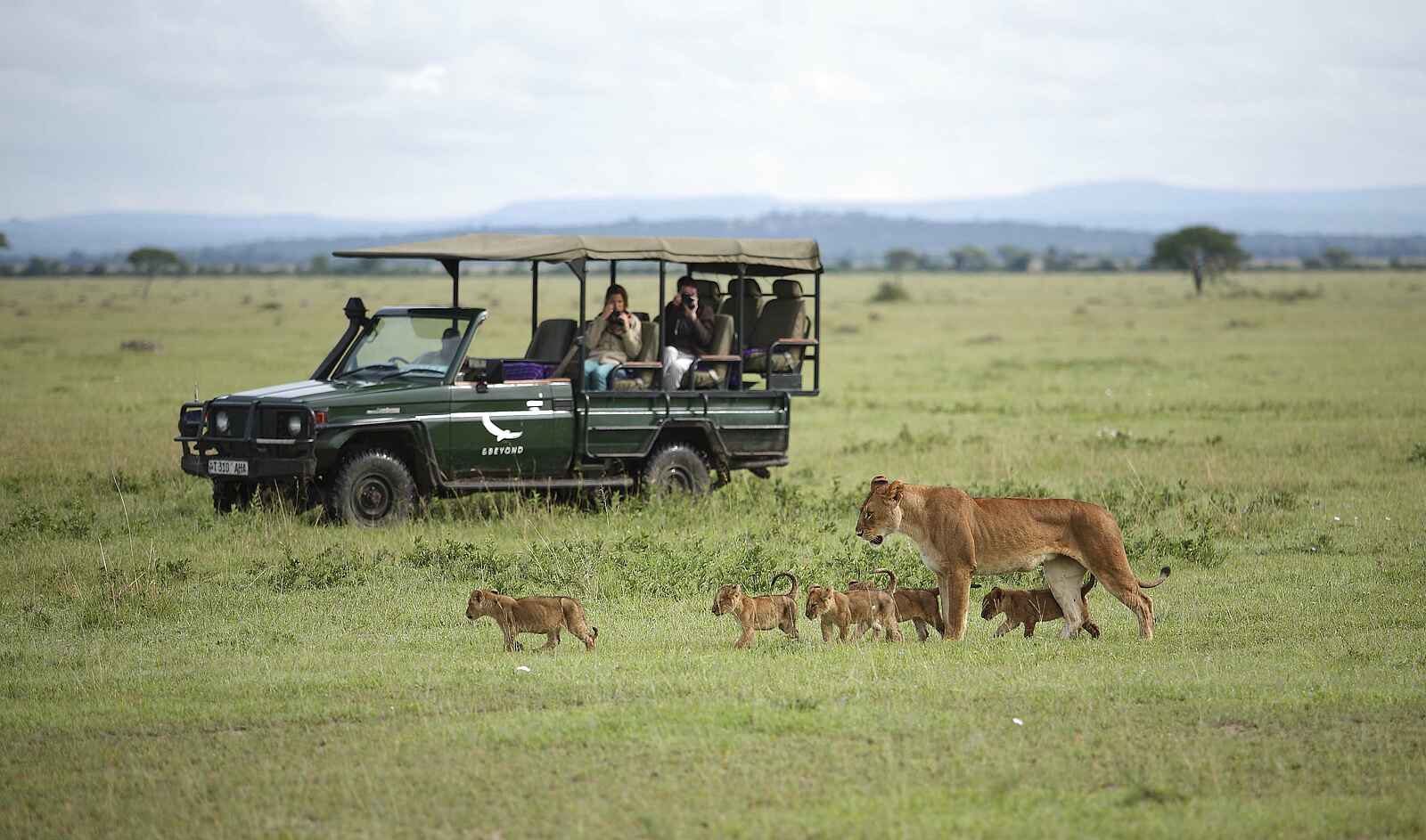 Grumeti Serengeti Tented Camp: Auf Safari Grumeti Serengeti Tented Camp: Auf Safari