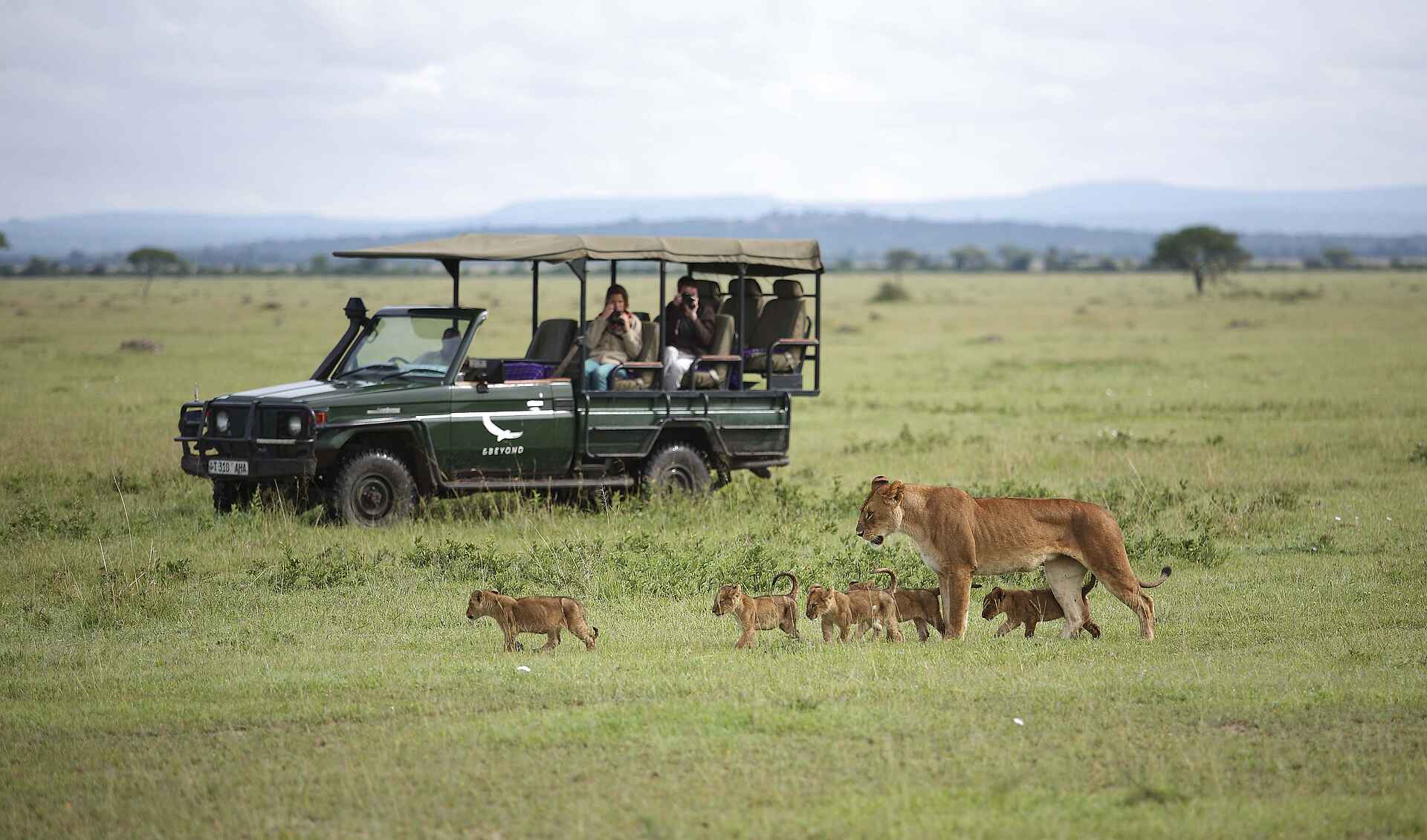 Grumeti Serengeti Tented Camp: Auf Safari