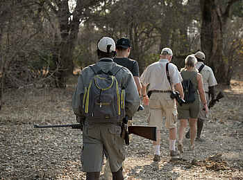 Khwai Leadwood: Walking Safari