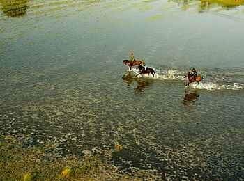 Kujwana Camp: Ritt durchs Wasser