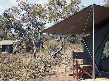 Musekese Camp: Gästezelt mit Vordach und Regiesessel Musekese Camp: Gästezelt mit Vordach und Regiesessel